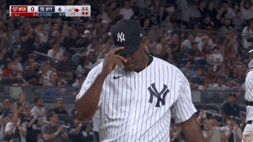 Happy Yankee Stadium GIF by YES Network