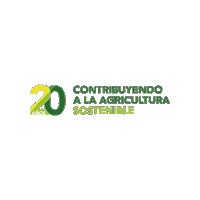 20Anos Logoabe Sticker by Semillasabechile
