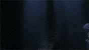 batman forever GIF