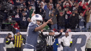 Football Celebration GIF by New England Patriots