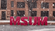 Snow Winter GIF by Minnesota State University Moorhead