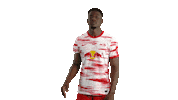 Clap Your Hands Lol Sticker by RB Leipzig