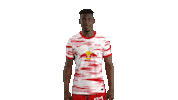 Football Soccer Sticker by RB Leipzig