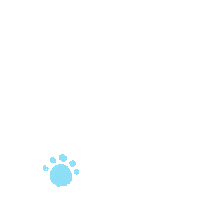 walking bear Sticker