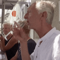 France Lol GIF by SBS6