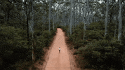 Beach Running GIF by nettwerkmusic
