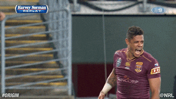 rugby league celebration GIF by NRL