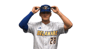 College Sports Fun Sticker by Delaware Blue Hens