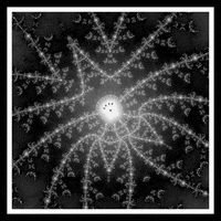 Loop Nft GIF by xponentialdesign