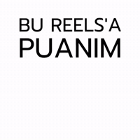 Reels Puanim GIF