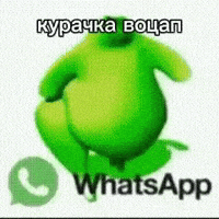 Whatsapp GIF by motorstreet