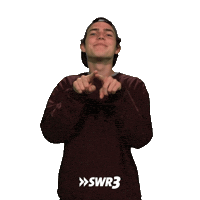 In Love Lol Sticker by SWR3