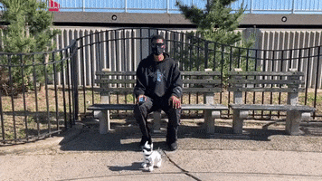 Filthy Frank Dog GIF by Orrin