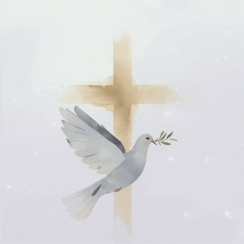 Jesus Christ Truth GIF