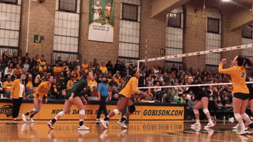 Ndsu Volleyball GIF by NDSU Athletics