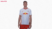 Clap Your Hands Applause GIF by RB Leipzig