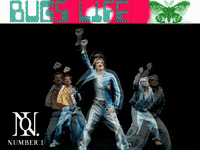 Bug Numberi GIF