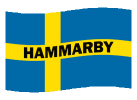 hammarbyfotboll sweden fotboll sverige bajen Sticker