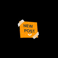 BestHostelsIndonesia new new post post newpost GIF