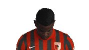 Happy Fc Augsburg Sticker by Bundesliga