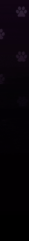 xldorian giphygifmaker GIF
