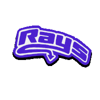 Cheer Cheerleading Sticker by The Stingray Allstars