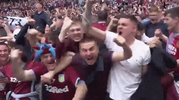 AstonVillaFC happy sports football sport GIF