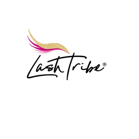 lash_tribe logo lashes lash lash extensions GIF