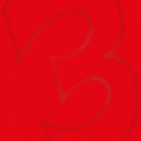 Carnaval Jen GIF by De Lange Venlo