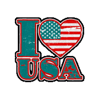 United States Love Sticker by The3Flamingos