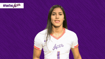 Purple Aces Evansville Volleyball GIF by UE Athletics