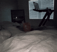 Mad Dark Souls GIF