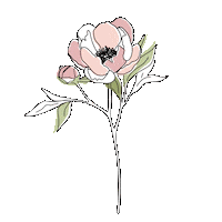 Flower 花 Sticker by WEEED_official
