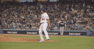 La Dodgers Celebration GIF by MLB