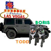 Boris Dog Sticker