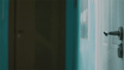 Зокипоки GIF by Zoki Poki