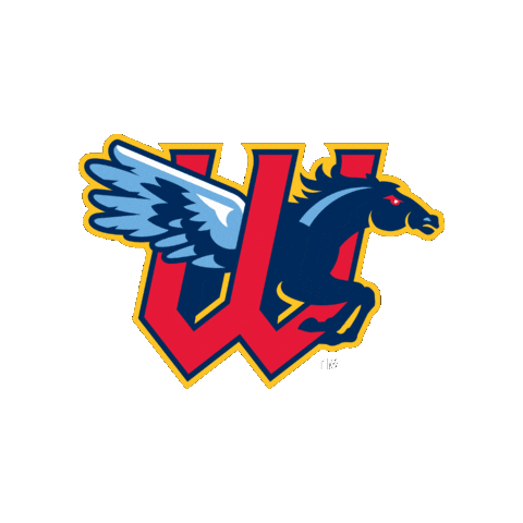 WindSurgeICT baseball aa minor league baseball ict Sticker