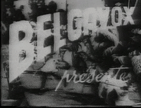 Snuls vintage belgique kitsch les snuls GIF