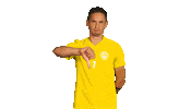 football thumbs down Sticker by 1. fotbalová liga