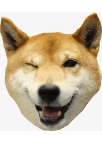 Doge GIF