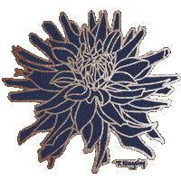 Sparkles Dahlia Sticker