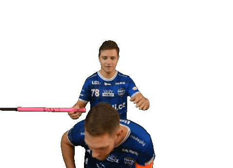 Karlovy Vary Floorball Sticker by Český florbal