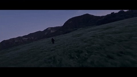 Trompe Loeil GIF by untiljapan