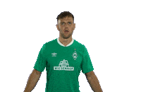 Football Bundesliga Sticker by SV Werder Bremen
