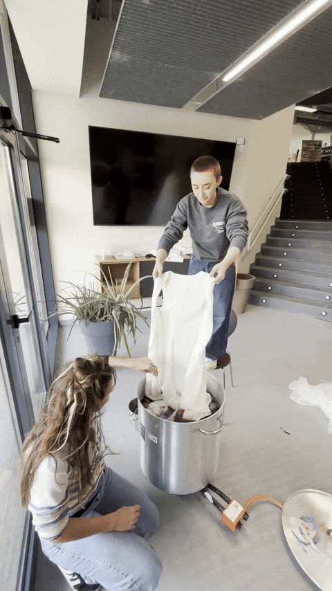 ainhoacadarso giphyupload GIF