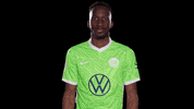 Keep Cool Reaction GIF by VfL Wolfsburg