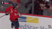Happy Washington Capitals GIF by NHL
