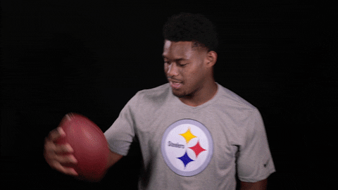 Pittsburgh Steelers Selfie GIF by NFL