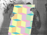 Looking Sound And Vision GIF by Beeld en Geluid