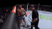 Mixed Martial Arts Sport GIF by UFC